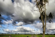 问鼎国际官网：武磊当选2024赛季中超联赛最佳球员央视新闻客户端.