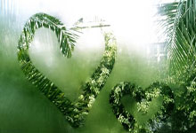 滕哈格回曼彻斯特与妻子晚餐 经纪人团队成员在场.